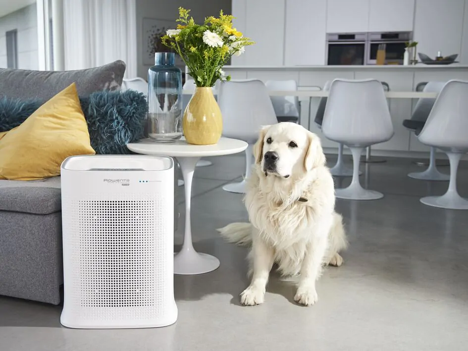 Очищувач повітря Rowenta Pure Air PU3080F0