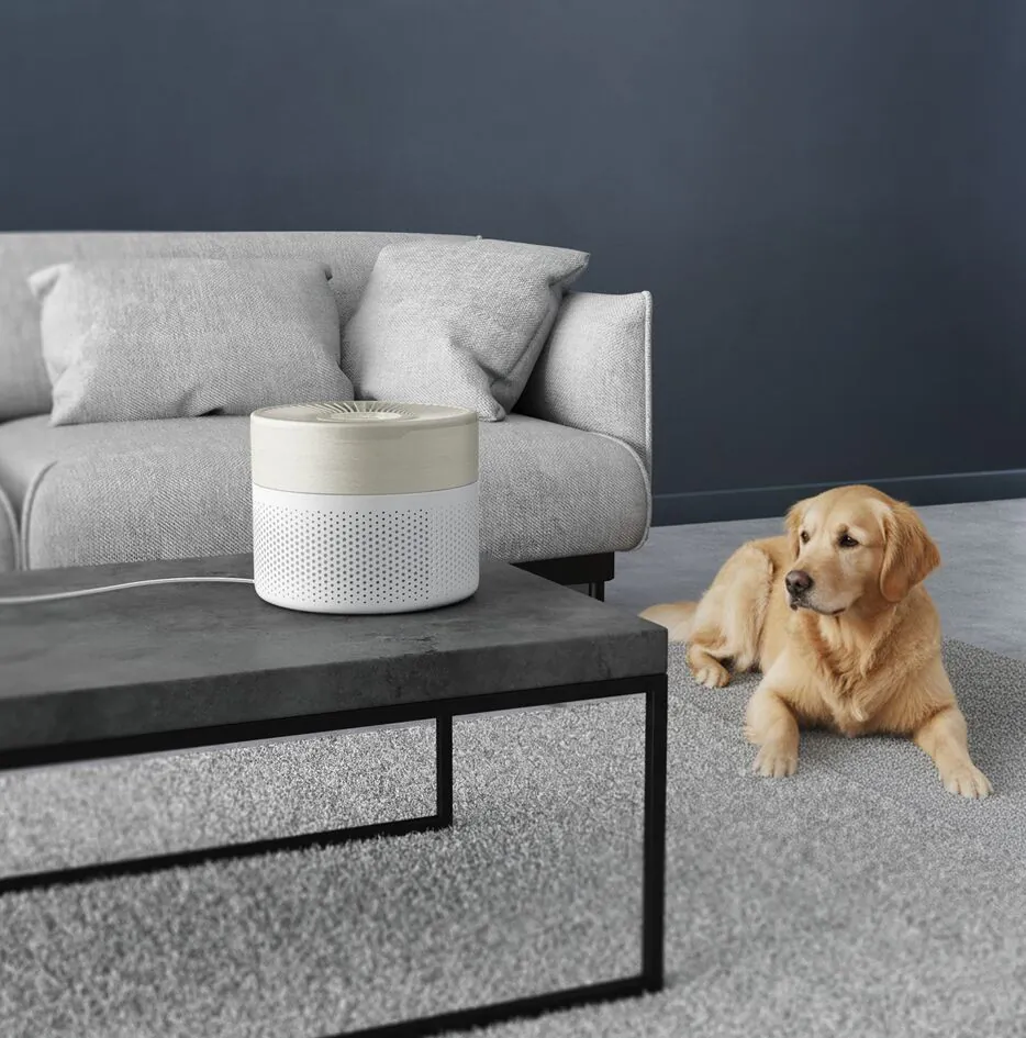 Очищувач повітря Rowenta Pure Air Mini PU1521F0