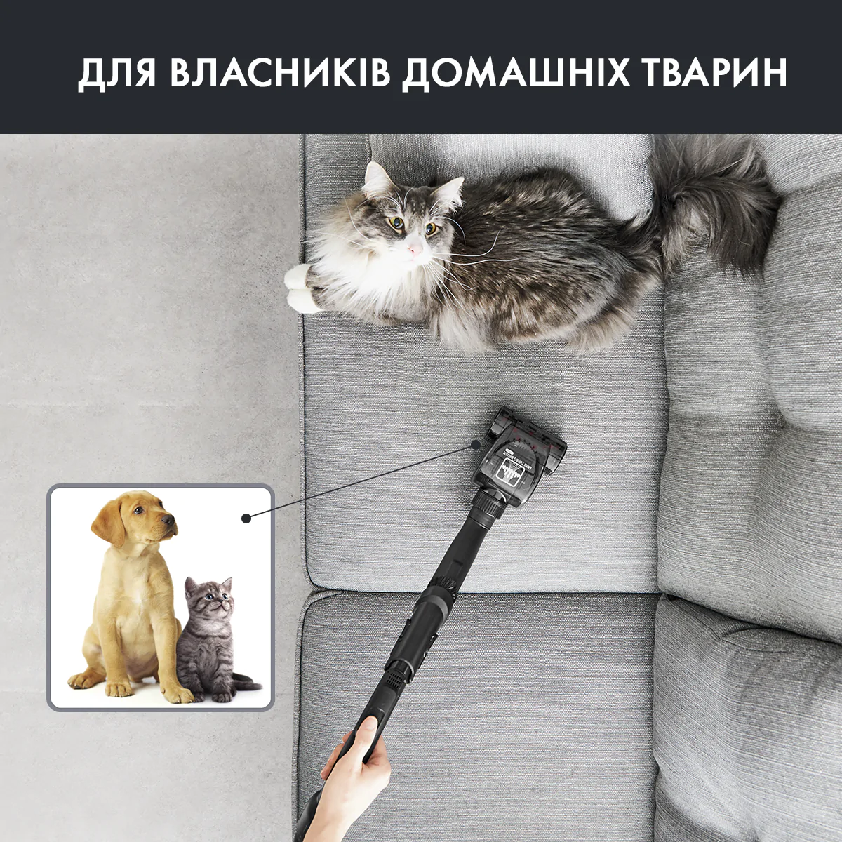 Пилосос безмішковий Rowenta Compact Power Cyclonic Animal Care RO3786EA